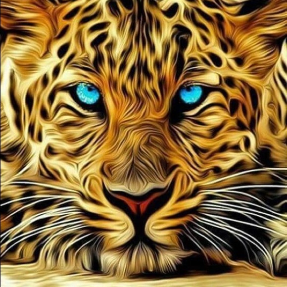 Meet your Posher, Raafat - Picture 1 of 1